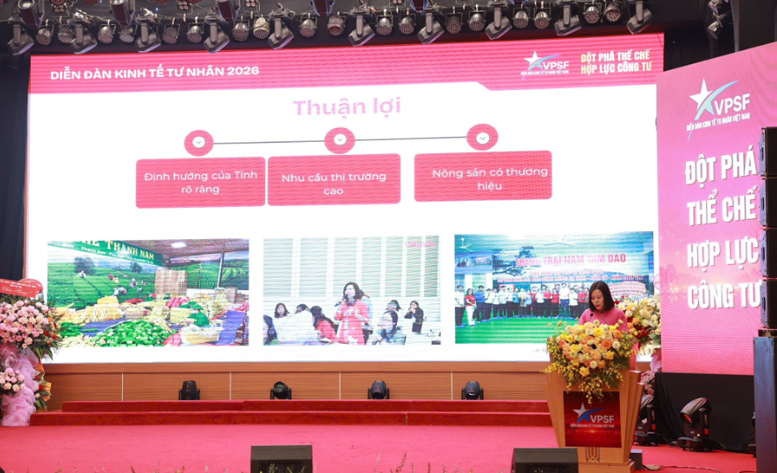 Mô hình Toàn cảnh Kinh tế tư nhân Việt Nam: Cầu nối công – tư cho phát triển- Ảnh 1.