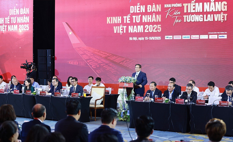 Mô hình Toàn cảnh Kinh tế tư nhân Việt Nam: Cầu nối công – tư cho phát triển- Ảnh 1.